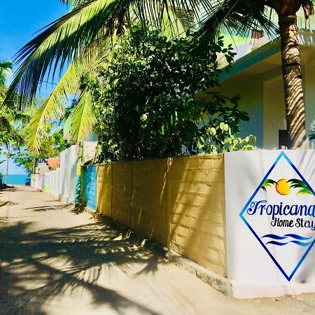Tropicana Home Stay อารูกัมเบย์ ภายนอก รูปภาพ